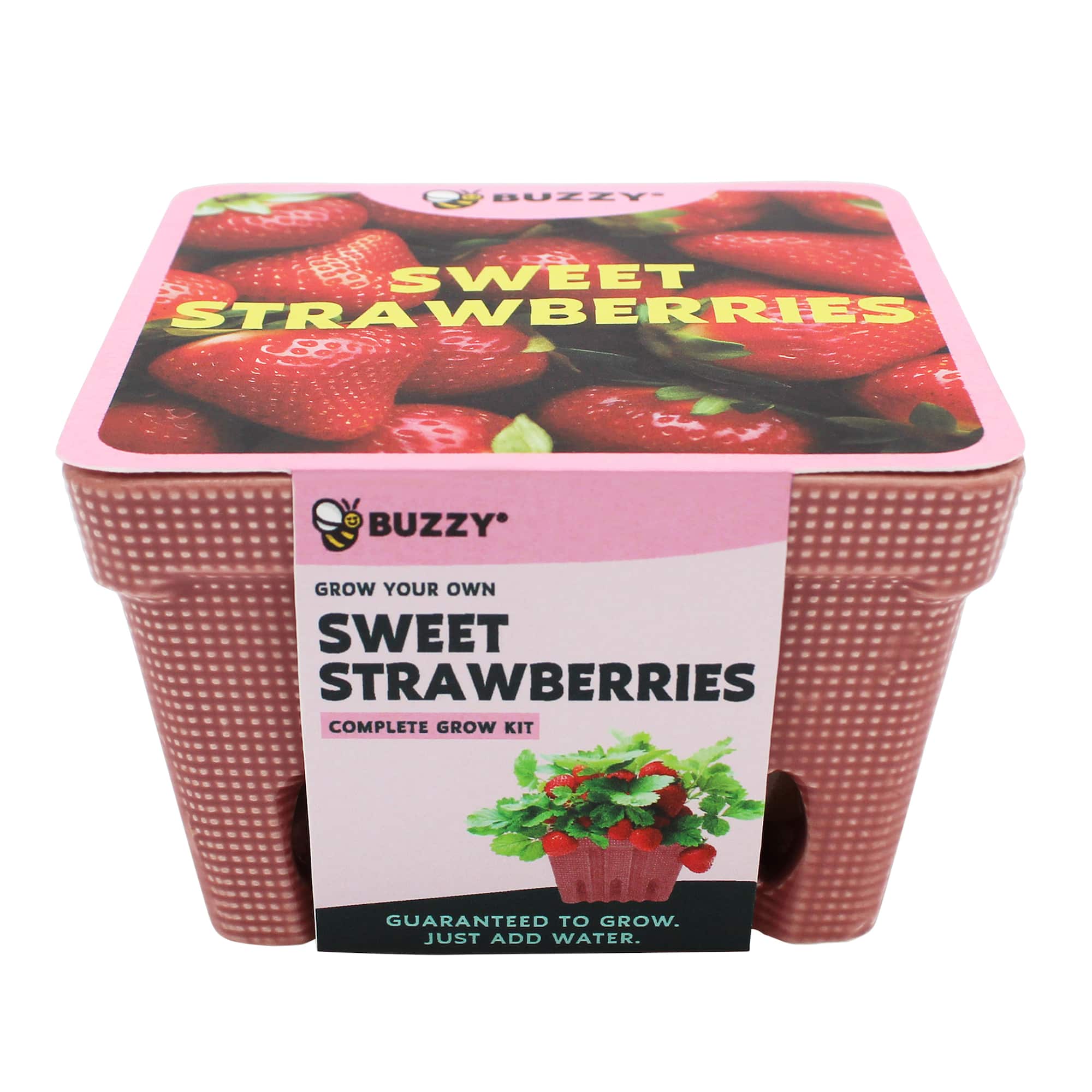 Buzzy® Sweet Strawberry Ceramic Basket Complete Grow Kit